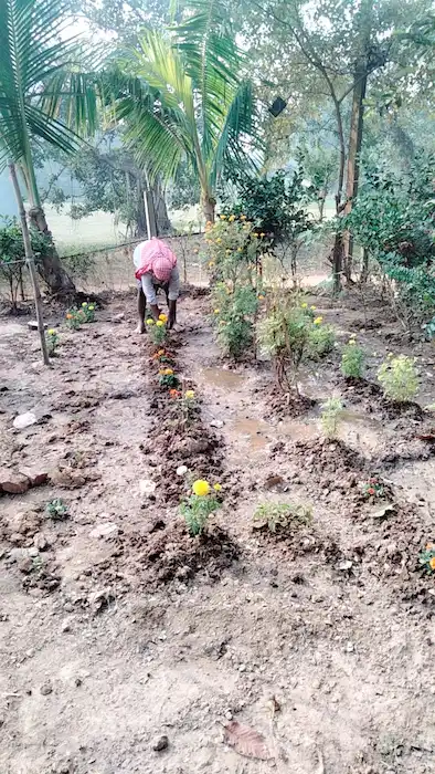 SYCA gardening activity